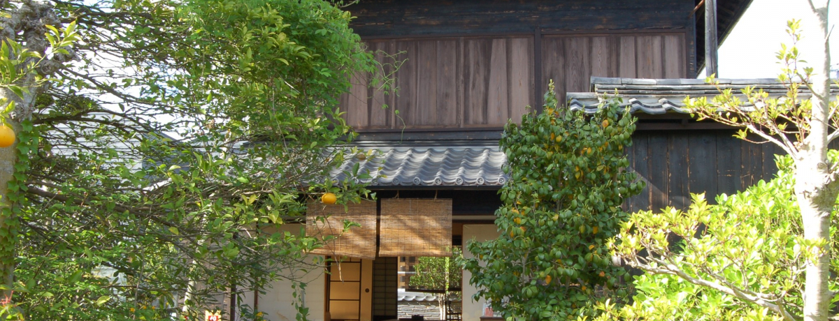 IɓcӁuF@vw҂́gƋZ̏h̊