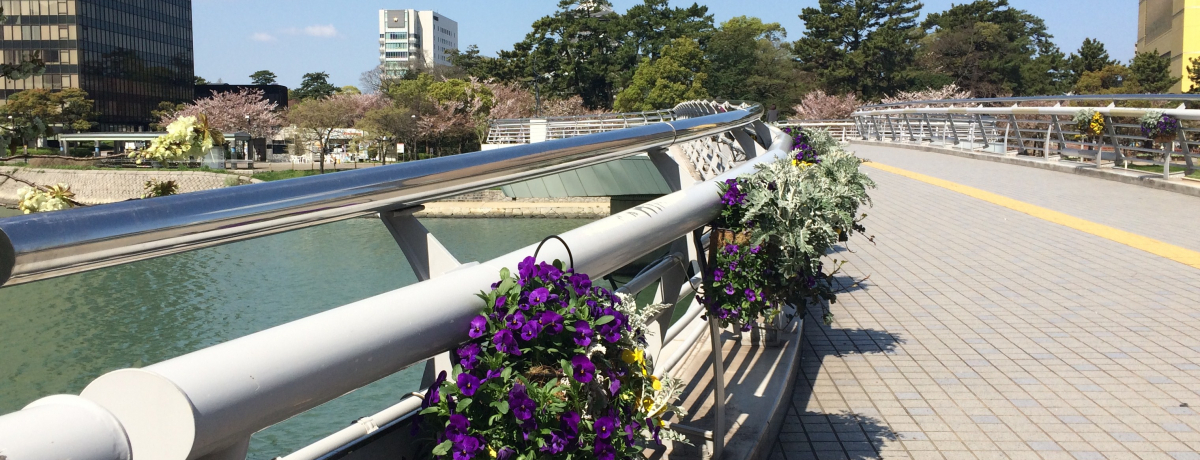 kBsquOvƁuXOwvEXO̖ʉe