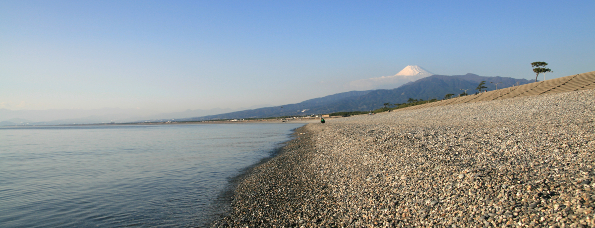 �É������Îs�u��{�����v�͕x�m�R�E�x�͘p�E�[�z�̐�i�I