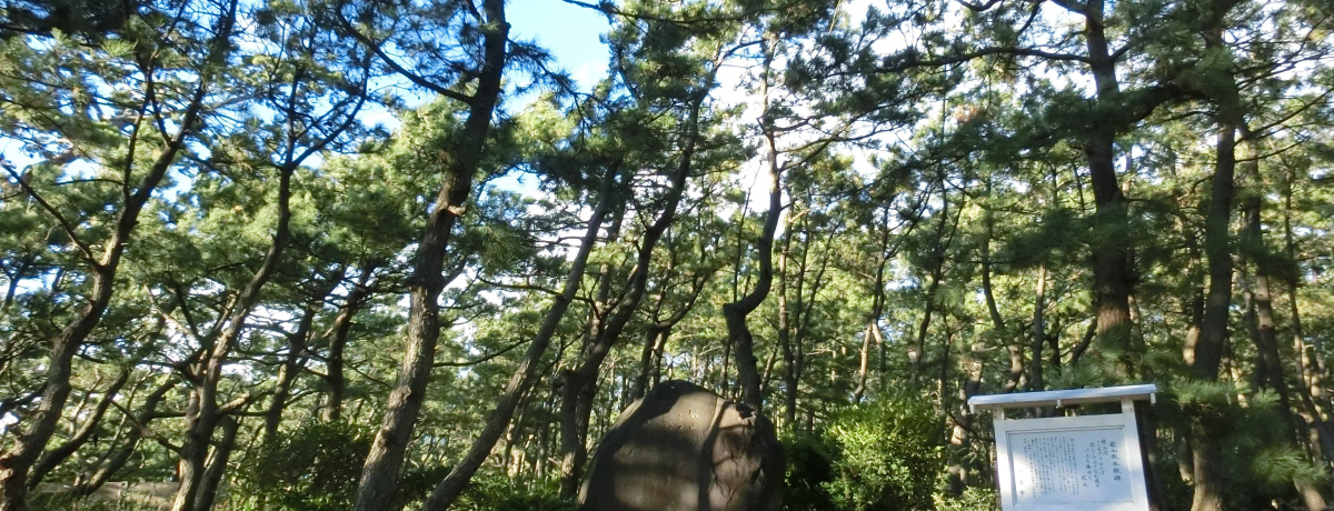 �É��E���Áu��{�����v���w�菄��I�S�����̎�R�q���E�̔���I