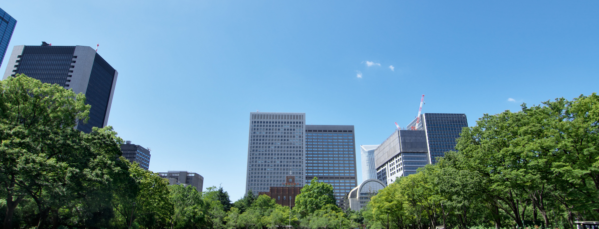 �����E���c�u����J�����v���{���̋ߑ�I�m�������̗��j