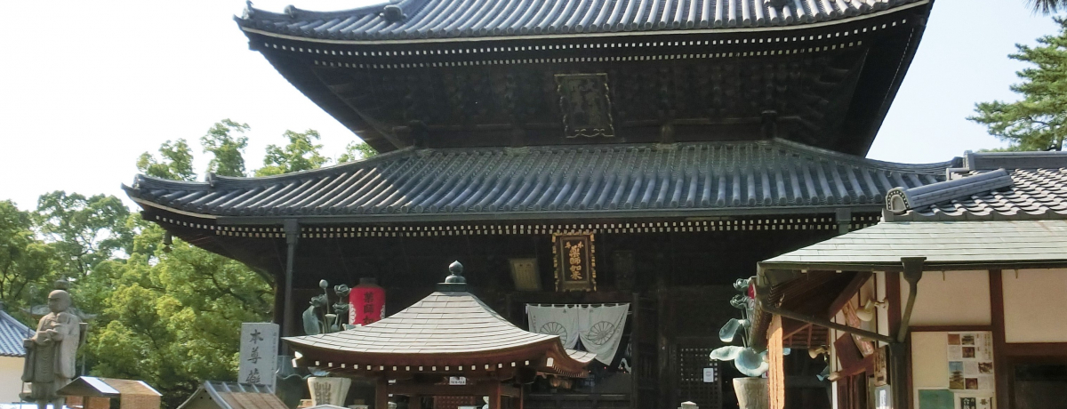 쌧EPʎu@v1200N̓킪C@