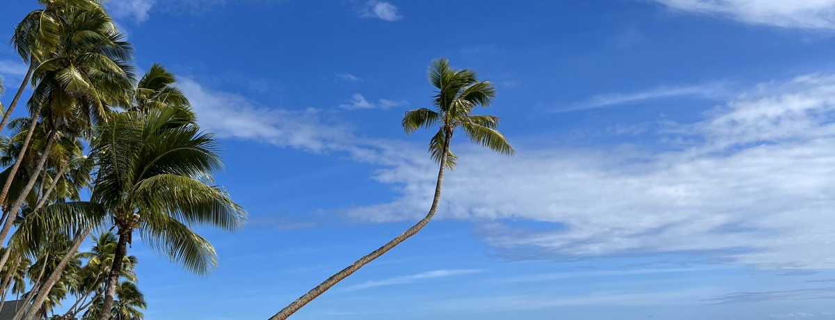 uVOY tBW[A ][g  XpvŋɏXeC