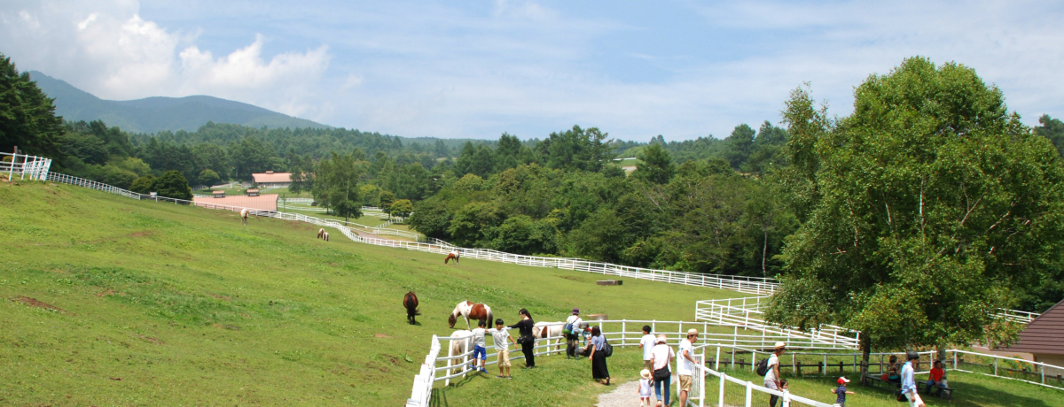 ̌X|bgu܂ΌvŖqƃO𖞋iI