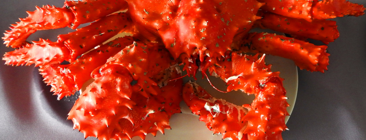 �T�n�����A���W�m�T�n�����X�N�l�C�̃p���[�X�|�b�g���U��I