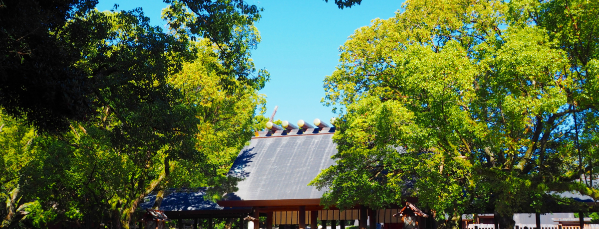 XS_bƓ`̓mIÉuMc_{v̓ʂȐ_