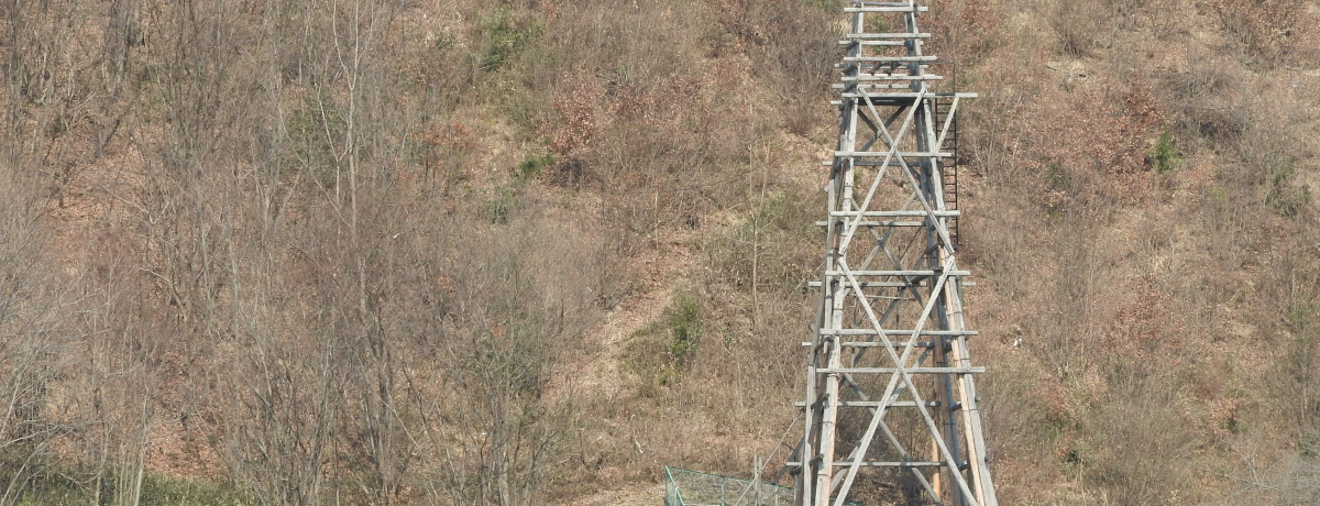 ���������Ɣ_�����P�b�g�̓�I��ʁE�����u���_�Ёv