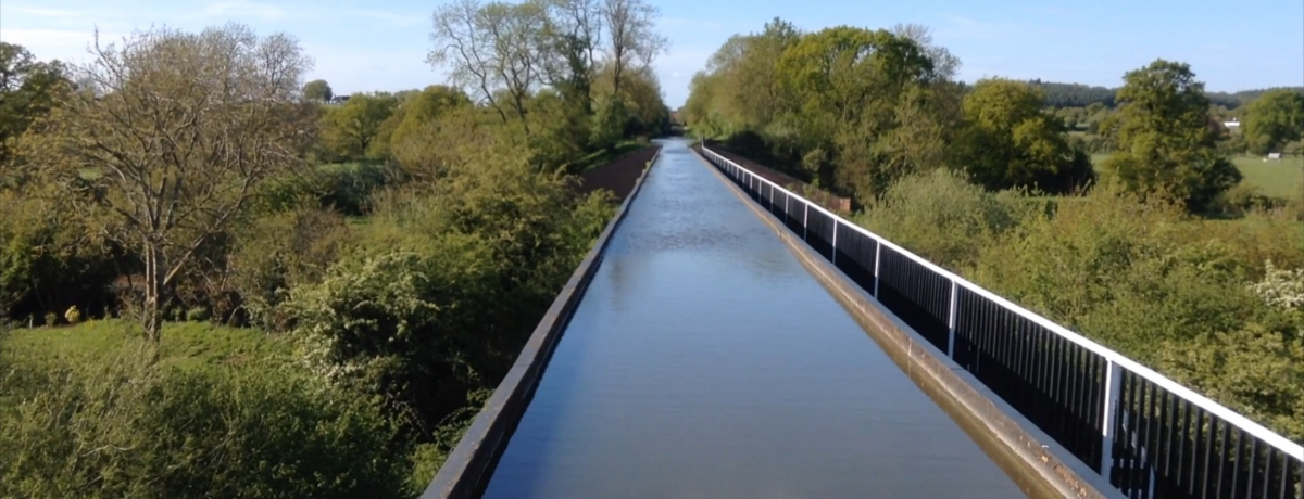 �p���^�̓i���[�{�[�g�̗��͑̌��Ƃ��y���ݖ��ځI