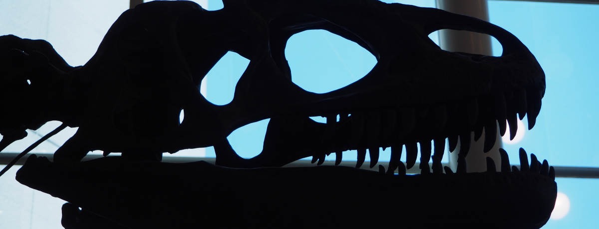 ���E�����ڂ���E�}�̉��΂��W�����u�򕌌������فv