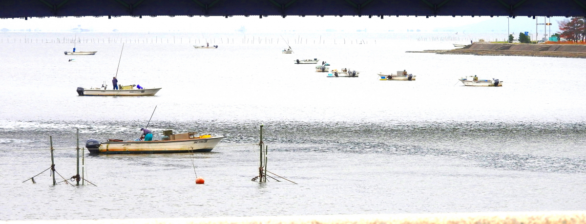 5̉уp[X|bgő萬A!?]Eӂ̕iU