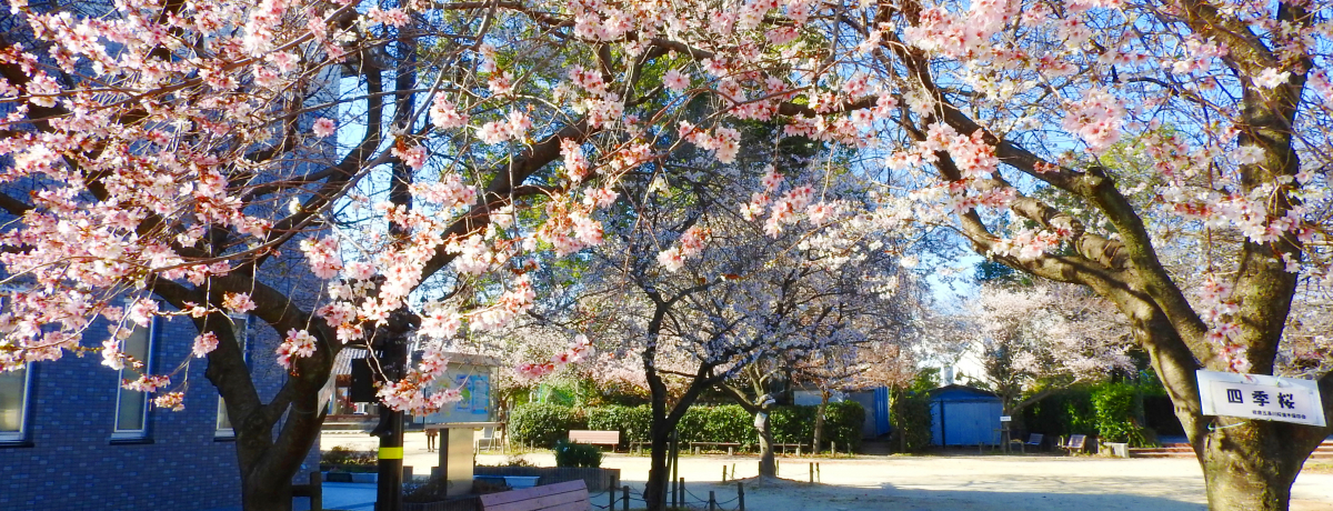 RLa̒nAmq܏͓̍~JAgtɁI