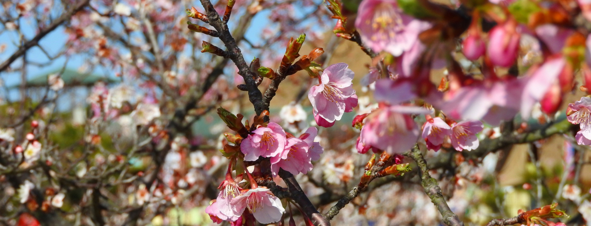 muzrvɏtI5400{̑t̔~т