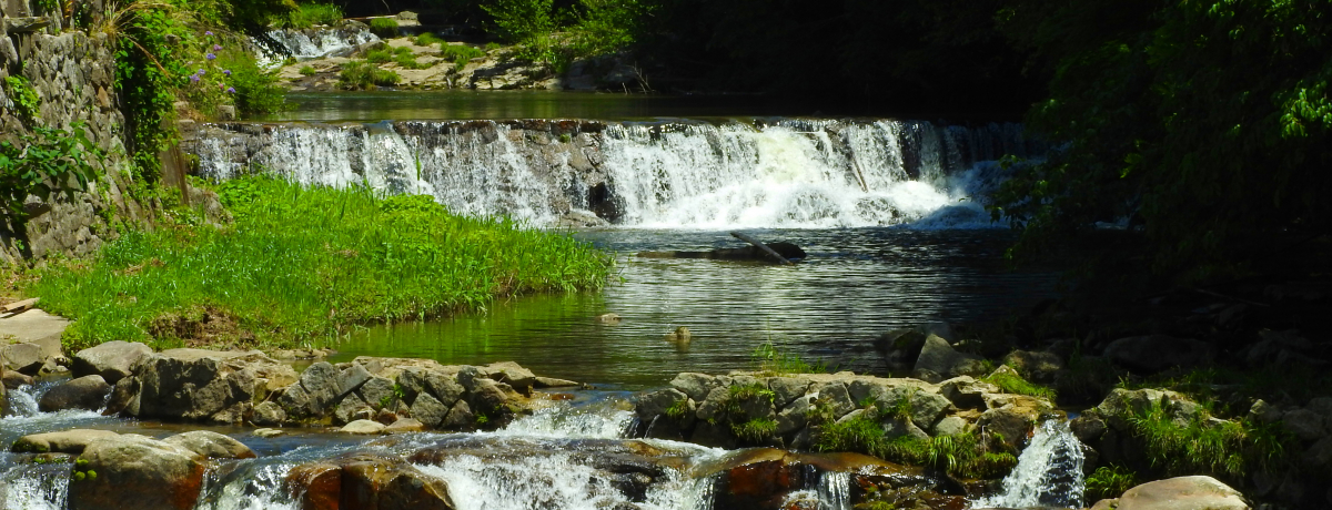 ƌ̉ƍN񂾈murX^CvƁuRƋ{v闷