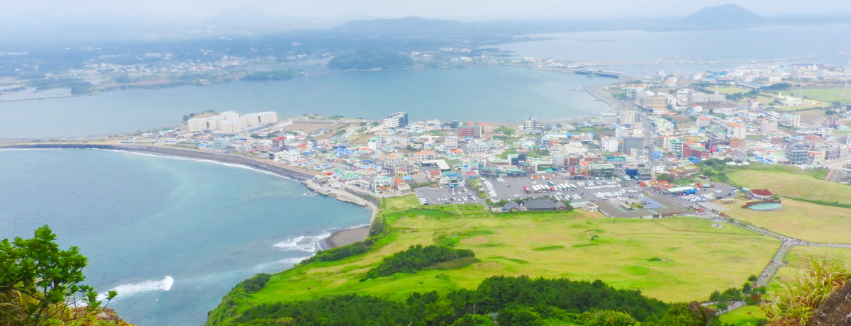 iƍō̗I؍ϏB́uRovɓo낤