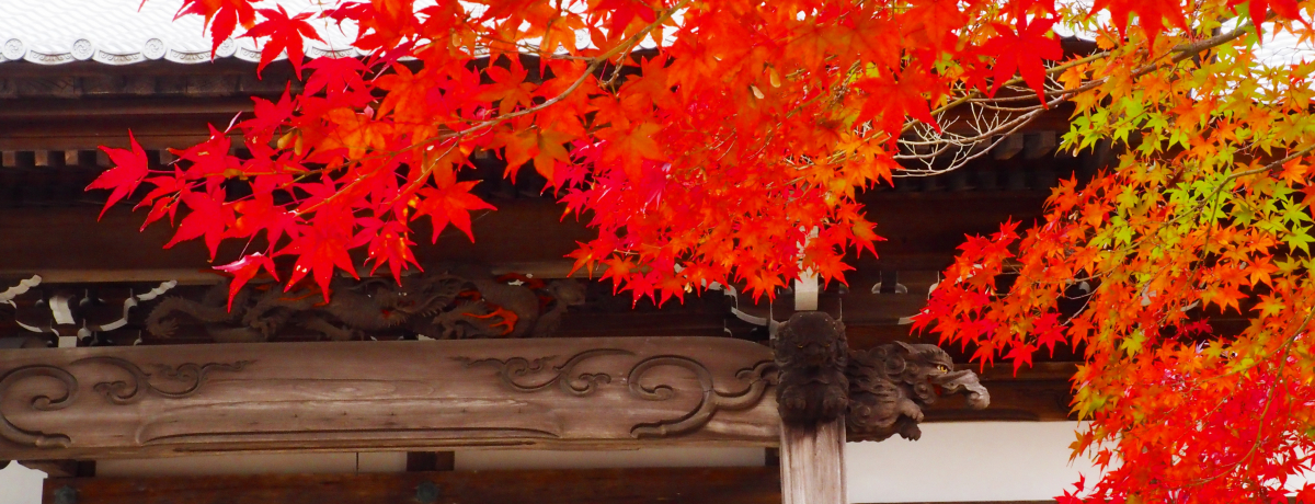 �g�t�Ɛ�i�����\�I���m�u���R����@�v���n�C�L���O