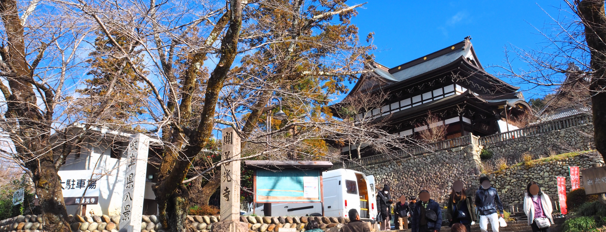 򕌁E֎s𒭂߂悤Iu֑PvQqƐiUR[X