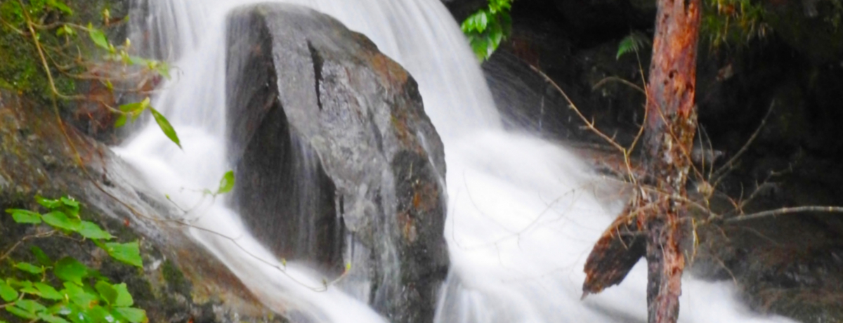 򕌁EZs̕ВmkJŁuvƁȗvɒڋ߁I