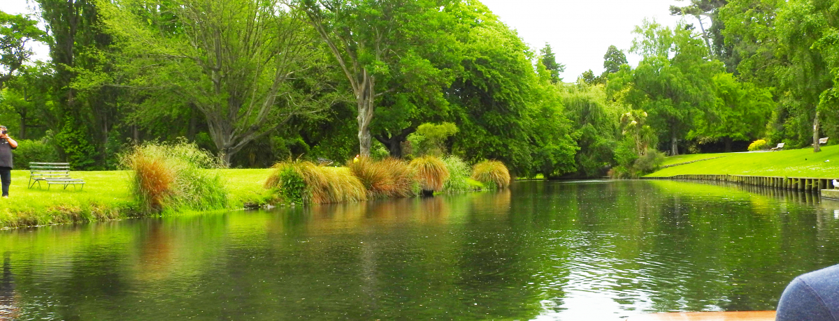 NZNCXg`[`uGC{vŃpeBO悤I