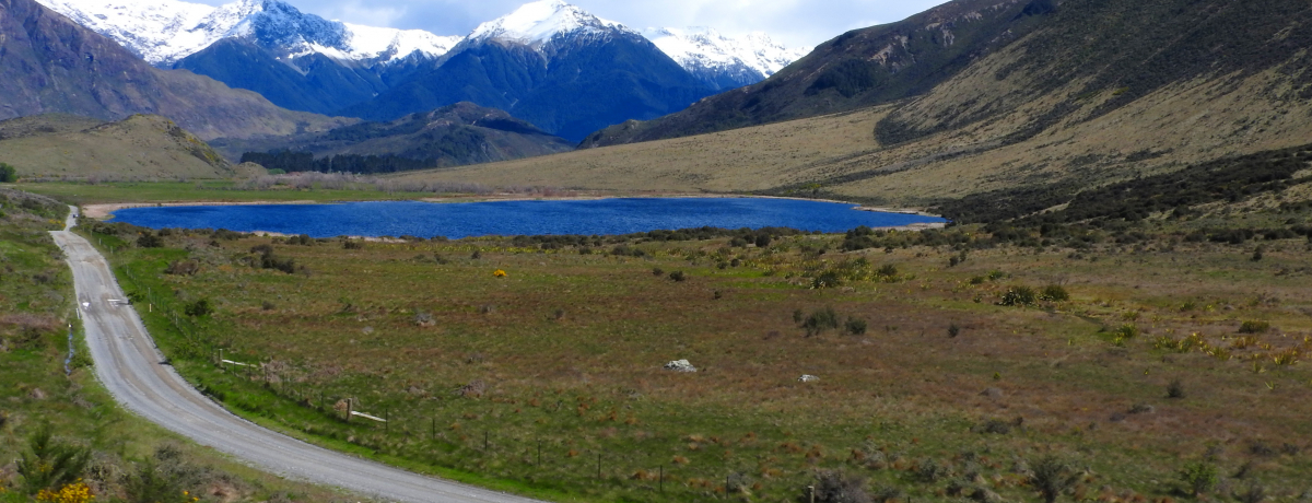 gcApCŚuiԁvNZ쓇̐iyI