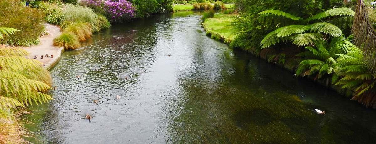 �܂�ŉp���뉀�INZ�N���C�X�g�`���[�`�̃G�C�{����������