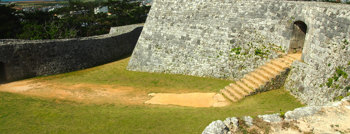 ��}�j�A��^�I��΍s����������ɂ��鐢�E��Y�̂T�̏�i�O�X�N�j