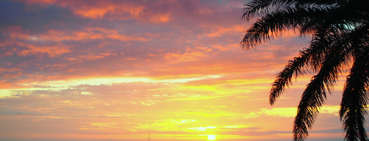 nCNX̃][gze uUEuZieXvґȋxI