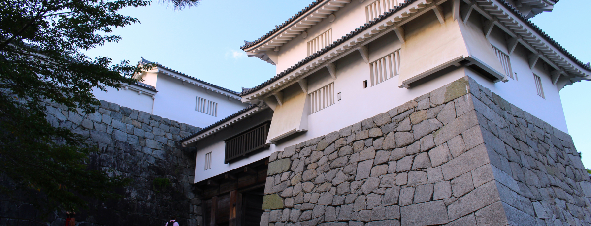 �V��t�������邶��Ȃ��I�������u��{����v�Ŋw�ԏ�̖��͂Ƃ́H