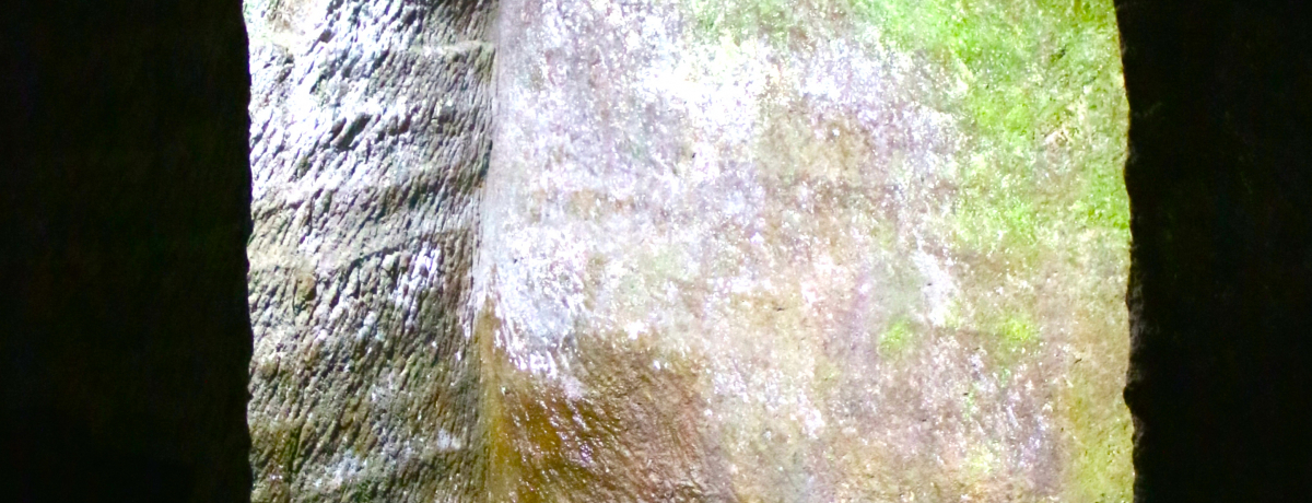 ɓɂ_Iȁu⓴vA͍]ˏxA̎Yn!?