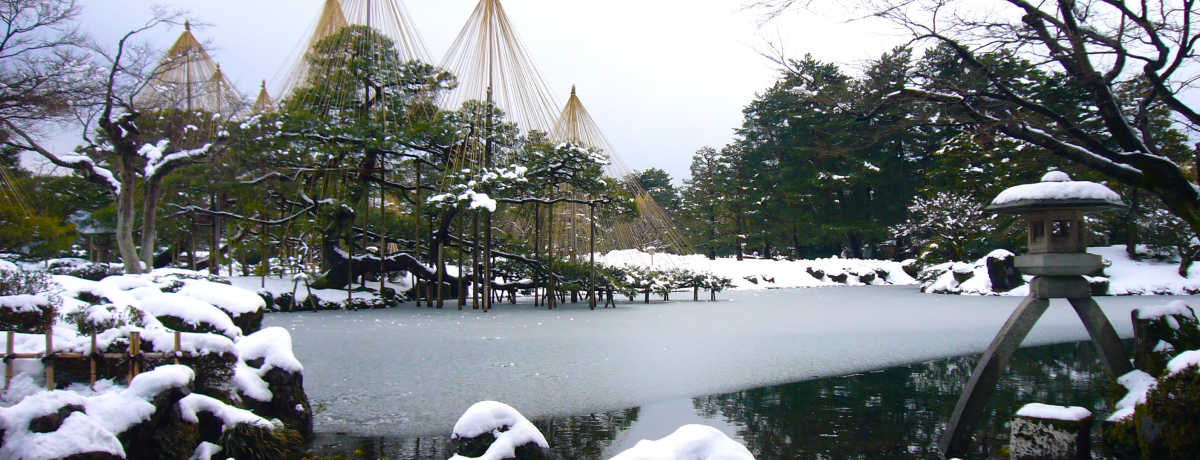 Ⴊ~ɏo悤IsuZv݂̐i