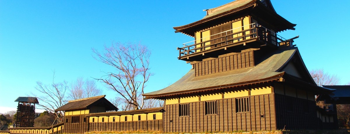 �V��t�������邶��Ȃ��I��錧�u�t���Ռ����v���ꂪ�퍑�̏邾