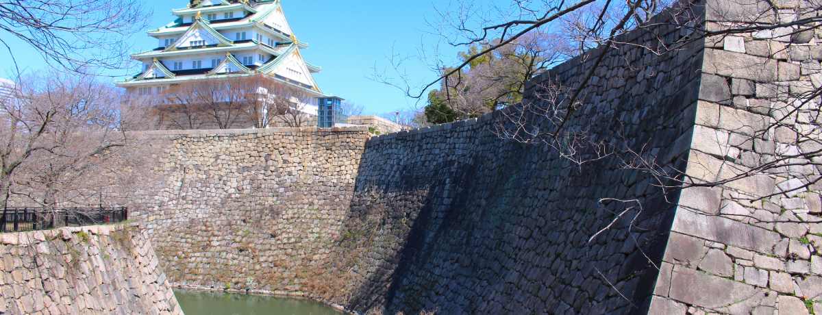 �������ʌ��J�I�u����v�c�E�ɂȂ肽���l��2016�N�ɍs���ׂ�