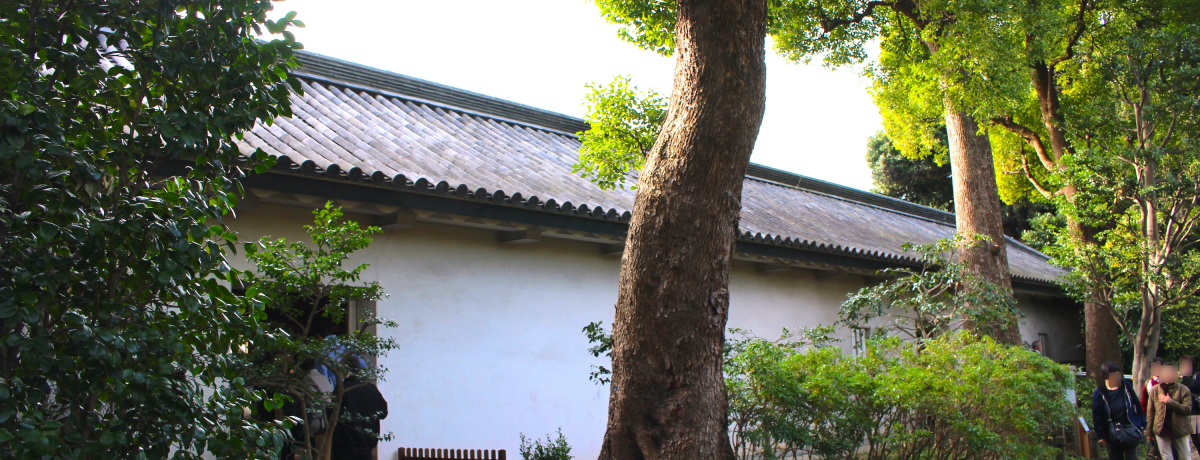 ���Ɉ�ʌ��J���͂��܂����I�c�����䉑�́u�x�m�������v���ό����悤