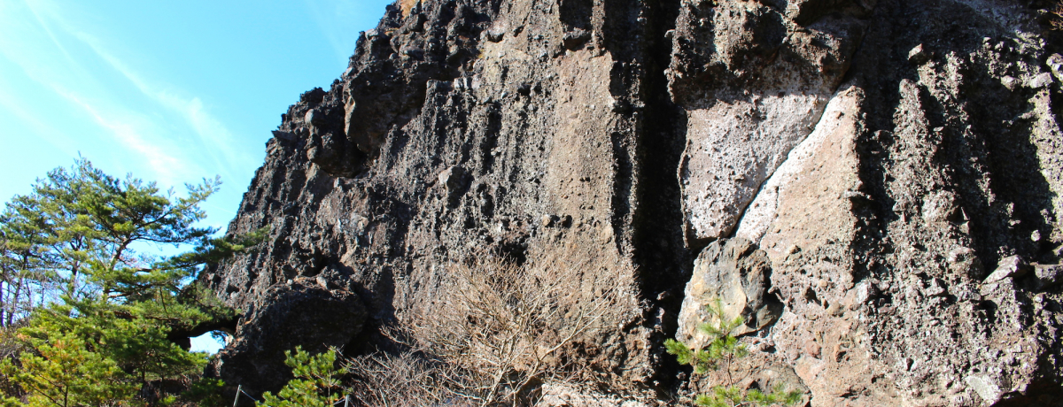 ��������̃p���[�X�|�b�g�I���j�Ɛ�i�����\�ł���u��R�v���āH