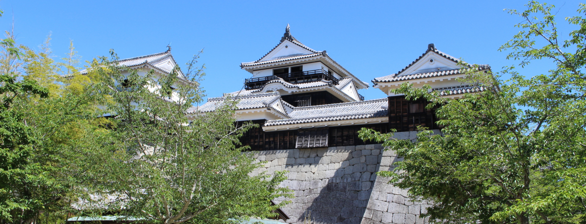 ���Q�̊ό��X�|�b�g�u���R��v�̌��ǂ���̓R�R�I�͂̓������|�C���g��T����