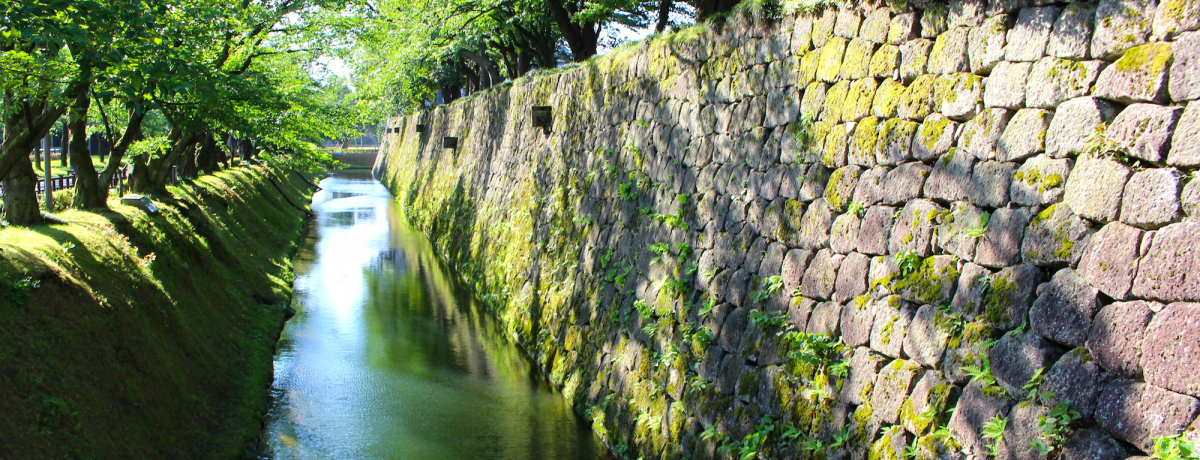 ̐Ί_͂ǂ݂ǂIӎčDɂȂႤ