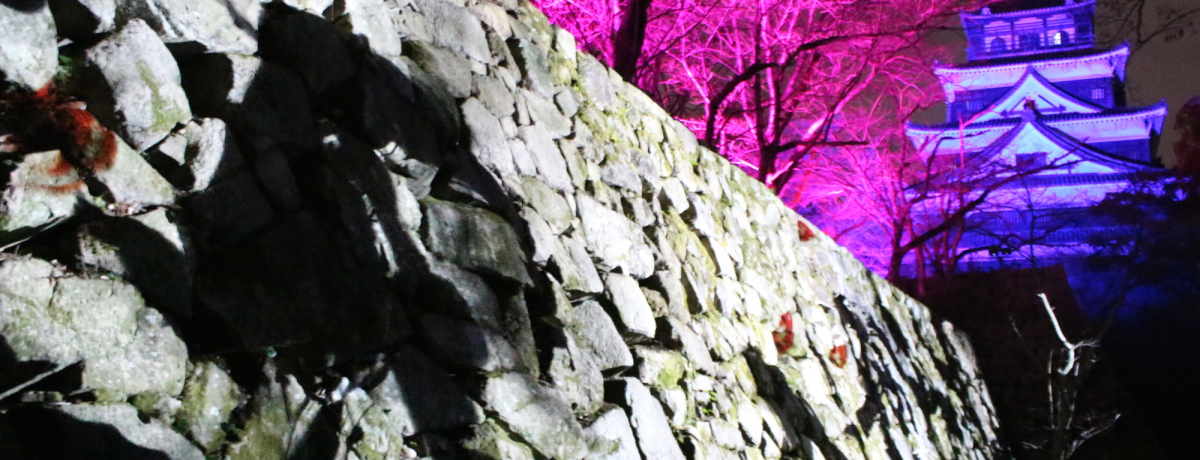 �L���Ƀ`�[�����{������Ă����I2019�N4��7���܂Ŋ��Ԍ���́u�`�[�����{ �L���� ���̍Ձv