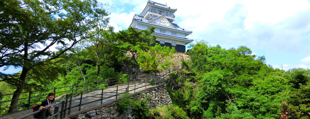 򕌂̊όjX|bg̓RRI}jA߂鉤fR[X