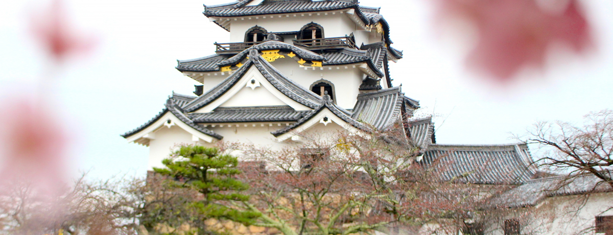 ��ɉƂ��z��������u�F����v�́g���錧�h���ꂪ�ւ閼�邾�I