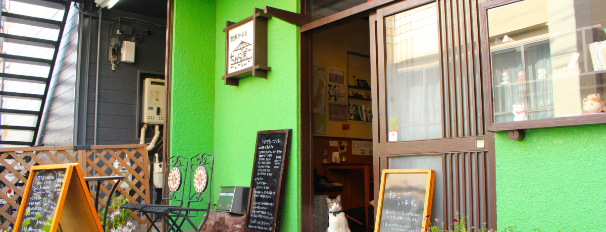 X̊y𔭐MIE~uUӂ@ۂv