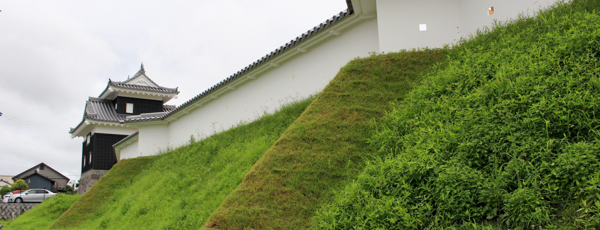 ���m���u������v�ɒa�������V�����͐��ɂ��������܂ꂽ�y��