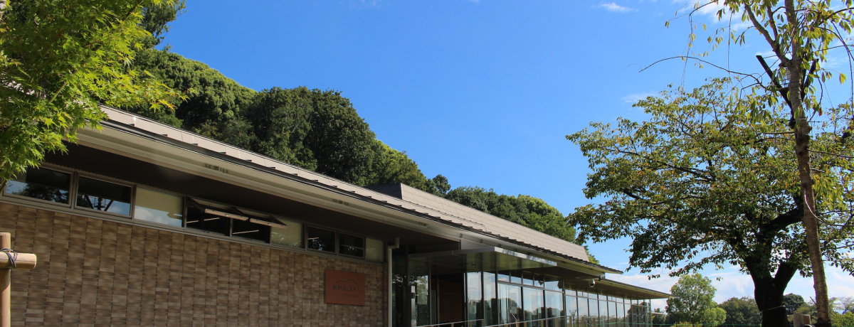 muꂫ邱܂v͐DcMzqRwׂ