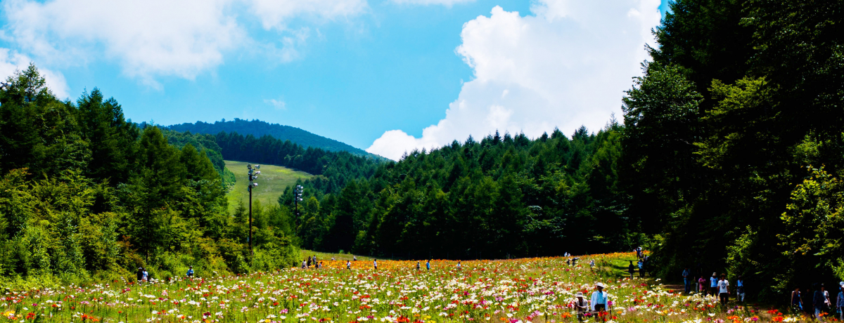 400ւ̂聕󒆎UIȖ؁En^[}EẻĂ̓tgłԌI