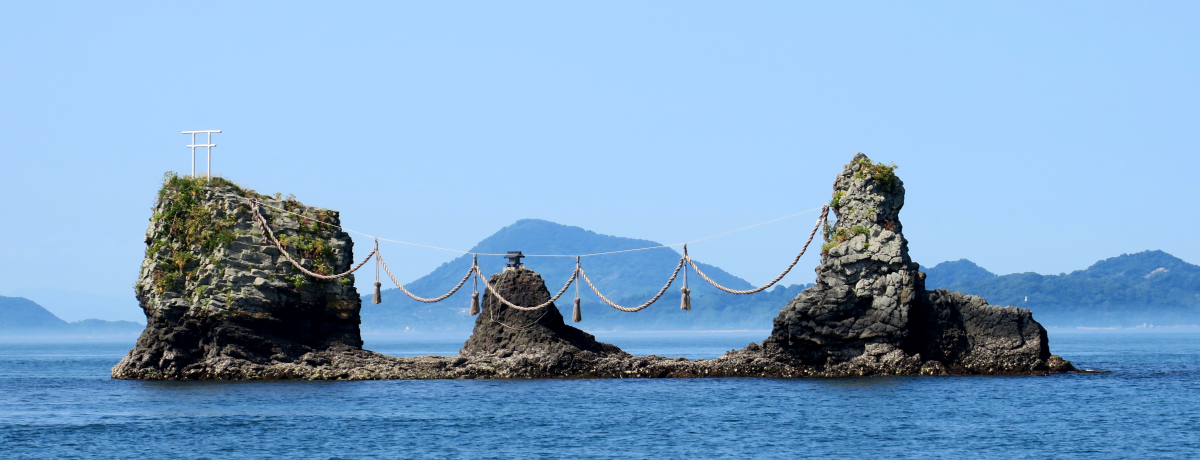 ˓N[Y\ZŁIRu̍qHvœ{ŗB̊CF悤