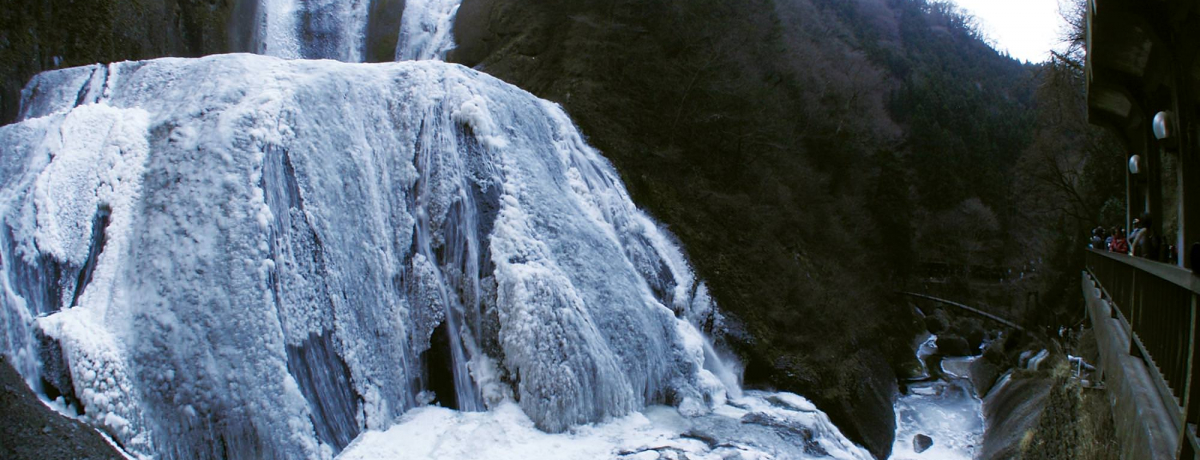 Xě͂Huܓc̑vœ{Oe̗Yp