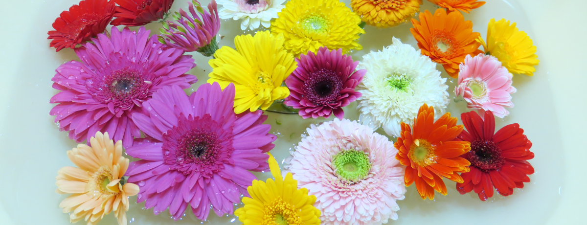 ̉Ԏ萅łĂ݂InCRXp̖̌Љ