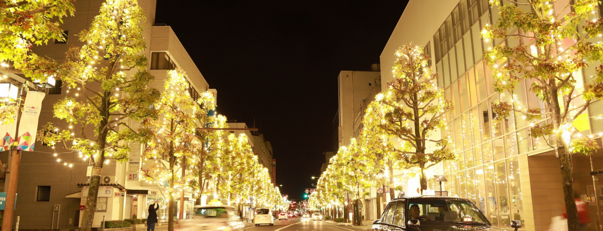 ����w���瑱�����̓��I�T�K�E���C�g�t�@���^�W�[2020