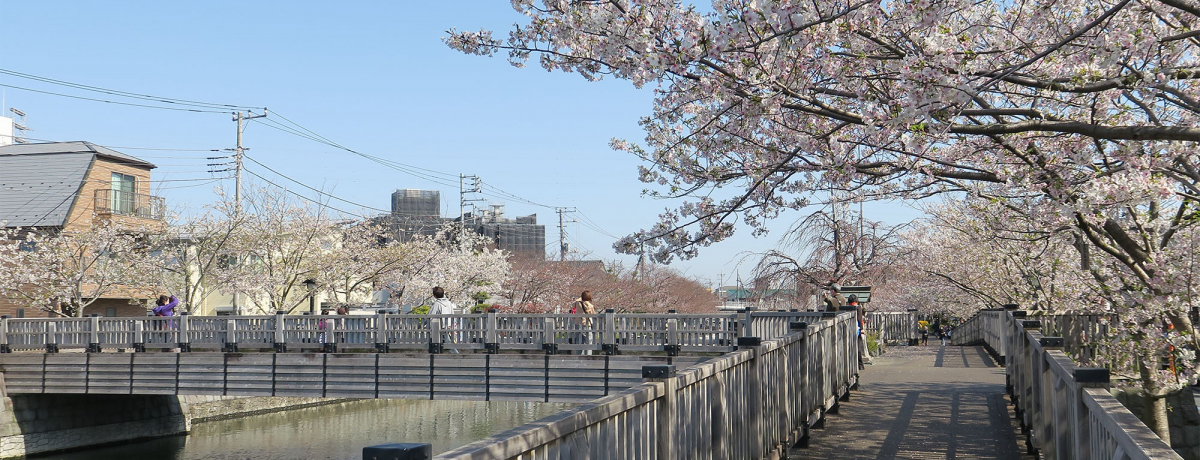 �����]�ː��E��3�L���́u�V���{���v�ō]�ˏ���ӂ�邨�Ԍ���