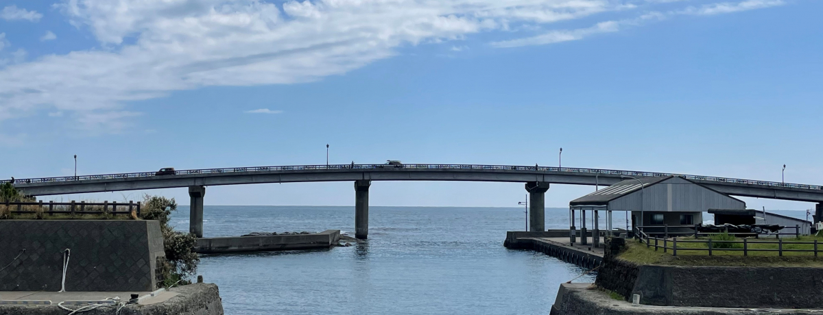 �����p���P�n�E��[���s�u��[��q�勴�v�݂��肪���񂾂��̋��̓R�R�I