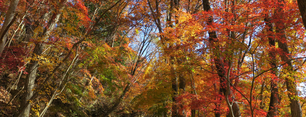 xmR~gtIRE򑺁ugtW]XgnEXvփnCLO