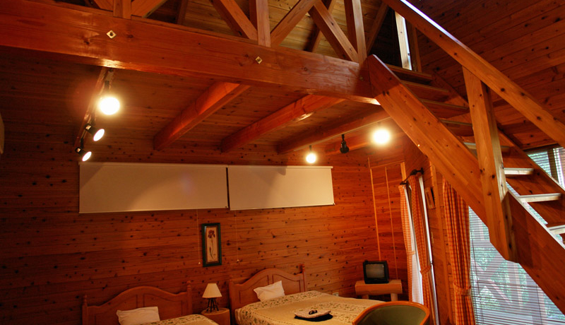 ̃XC[c2̉y߂ґAQE̐XRe[W